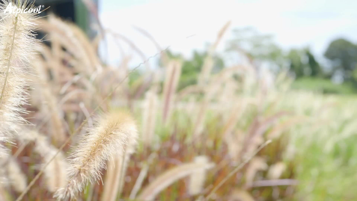 Alpicool Portable Freezer Alpicool 12V Portable Freezer - Low Noise Car Fridge for Camping and Travel Outdoors SUV RV